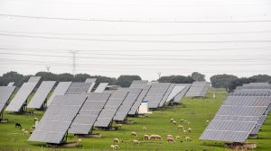 paneles energía solar