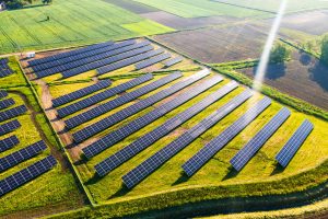 energía solar en la agricultura, y paneles solares